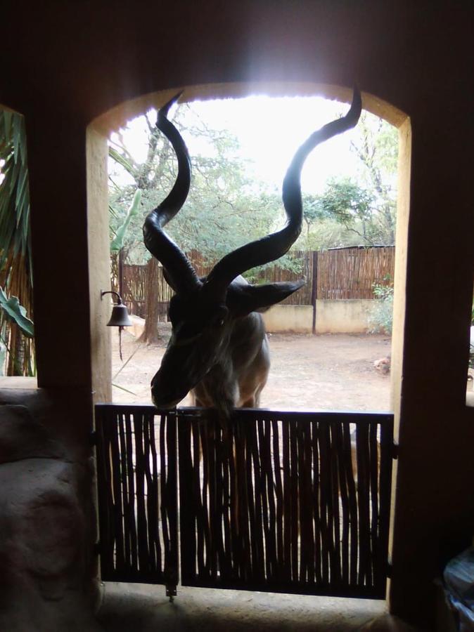 Kiburi Lodge @ Kruger, A Secluded Bushveld Getaway มาร์ลอทพาร์ค ภายนอก รูปภาพ