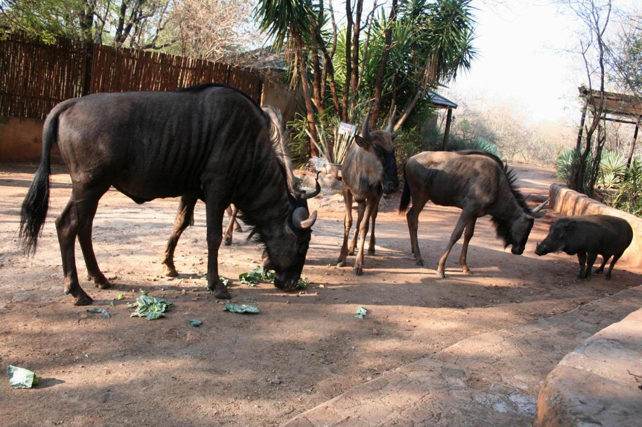 Kiburi Lodge @ Kruger, A Secluded Bushveld Getaway มาร์ลอทพาร์ค ภายนอก รูปภาพ