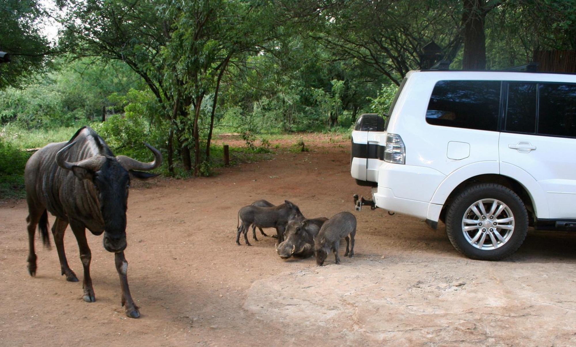 Kiburi Lodge @ Kruger, A Secluded Bushveld Getaway มาร์ลอทพาร์ค ภายนอก รูปภาพ