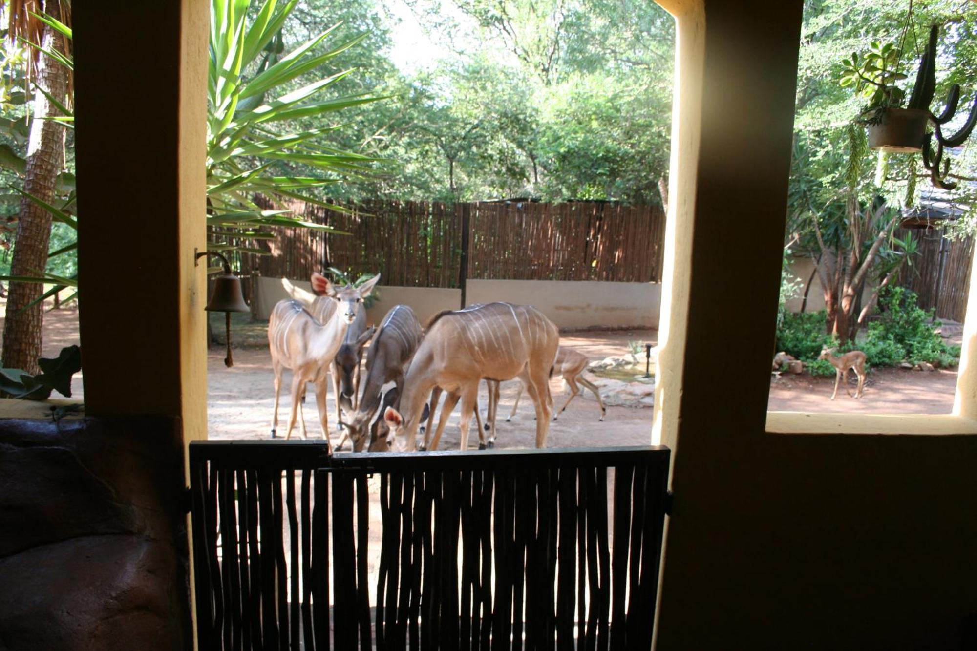 Kiburi Lodge @ Kruger, A Secluded Bushveld Getaway มาร์ลอทพาร์ค ภายนอก รูปภาพ